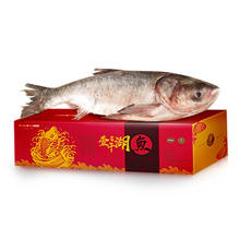 限移动端、京东百亿补贴：查干湖 CHINGREE 胖头鱼 3.75-8kg