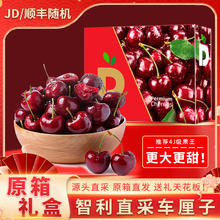限移动端、京东百亿补贴：JDBMO 智利进口桑提娜大樱桃 5斤 金奖3J级原箱礼盒
