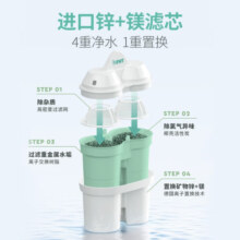 倍世（BWT） 家用净水壶滤芯滤水壶过滤壶通用 欧洲进口过滤芯技术儿童成长款 锌加镁滤芯套装 3支