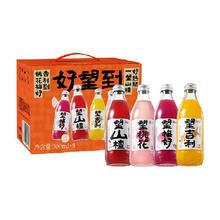 好望水 HOPE WATER 水果汁气泡水 山楂综合口味 300ml*8