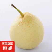 京喜加赵州水晶鸭梨 单果180g 带箱2斤鸭梨