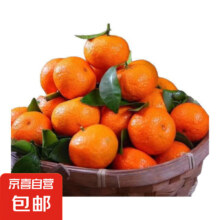 砂糖橘 5斤超甜小果