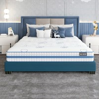 舒达 Serta 梦想家A1 护脊乳胶床垫 蓝色 120*200*20cm