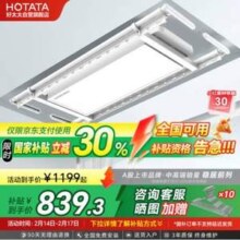 Hotata 好太太 智能晾衣机 D-3062 电动晾衣架 M12