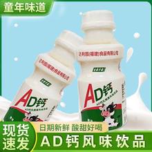 乳酸菌AD钙批发整箱代早餐营养牛奶酸奶风味餐饮婚宴席包邮饮料
