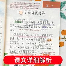 首单+签到 年级任选 2025新小学课堂笔记