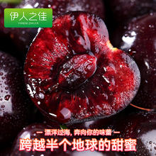 伊人之佳 sheisgood 智利车厘子 J 级2斤（多规格可选）