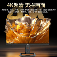 泰坦军团 27英寸 4K QD量子点-MiniLED 160Hz DC调光 HDR1000 快速液晶1ms游戏电竞屏 内置音箱显示器P275MV