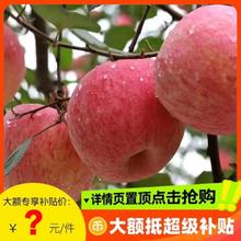 正宗陕西洛川苹果红富士新鲜当季孕妇水果时令脆甜陕西彩箱