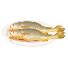 plus：【自营】黄小渔 宁德三去大黄鱼 300g*3条