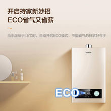 国家补贴：海尔 Haier 智家Leader系列 燃气热水器家用节能 12L JSQ22-12LVS(12T)