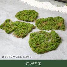 新中式仿真绿植假竹子盆栽室内软装禅意植物造景仿生荷花装饰花艺
