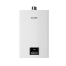 林内（Rinnai）【国家补贴立减15%】【小蛮腰】 燃气热水器天然气16升 恒温轻音 纤巧机身 16GD31 以旧换新 16L 【升级燃烧器 进口CPU】