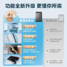 美的 波轮洗衣机MB80V33B全自动8kg免清洗脱一体家用租房官方正品