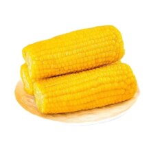 东北黄糯玉米 200g*8支