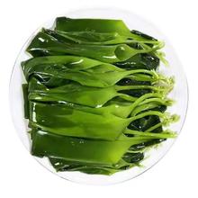 正宗霞浦海带嫩苗新鲜盐渍火锅凉拌专用非即食海菜小包装整箱批发
