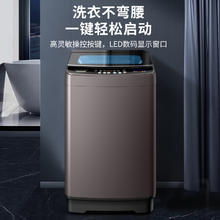 志高 全自动波轮洗衣机 10KG便捷盖