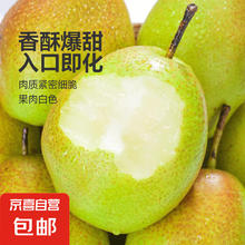 山西红香酥梨带箱2斤装单果100g起