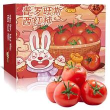 古寨山 普罗旺斯 西红柿 2.25斤