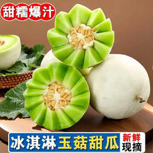 南有竹 海南玉菇甜瓜 香甜软糯冰淇淋甜瓜水果奶香蜜水果整箱 玉菇冰淇淋甜瓜精选 4.5斤装净重4.25斤 2-3个