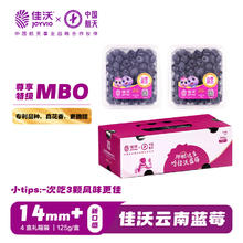 佳沃 云南当季蓝莓MBO系列 14mm+中果 4盒礼盒装 约125g/盒