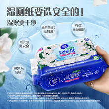 维达 山茶花湿厕纸 80片5包