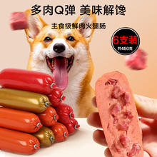HELLOJOY 狗狗零食 宠物火腿肠粗支成犬幼犬训练奖励混合味480g(6支装）