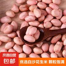 京喜 JX 现剥新白沙花生米五谷杂粮粒大米新货花生粉皮大粒花生米无壳 精选大粒(1斤装 500g)
