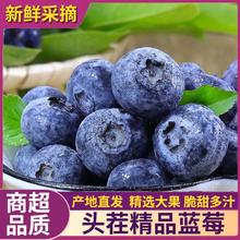 JiNanXian 集南鲜 云南蓝莓鲜果 4盒精选果15mm 单盒125g