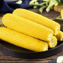 东北黄糯玉米220g
