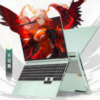 机械革命 翼龙15pro新款天穹青 R7-8845H RTX4060 游戏笔记本电脑16GB 512GB SSD