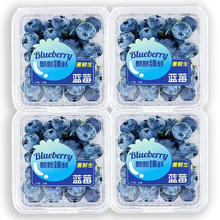 当季新鲜 蓝莓 特大果 3盒*125g（单果15-18mm）