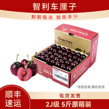 安第斯（智利） 智利进口车厘子 5斤 2J级（原箱装）