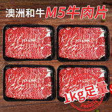 肉鲜厨师 和牛M5谷饲原切牛肉片1kg 澳洲肥牛卷片雪花牛肉火锅烧烤食材套餐 M5牛肉片|1kg（4-5盒）