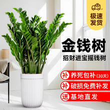 友斯家 cbgd-0066 实木餐边柜 80cm 樱桃木色 橡胶木