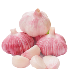 京喜加 大蒜头 紫白皮蒜精品大蒜调味料蒜瓣 【尝鲜】3头 50g 单果3.5-5cm