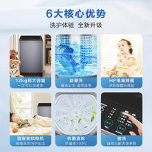 海尔 Haier 波轮洗衣机全自动 12公斤