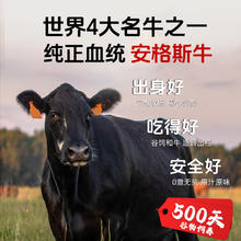 大用 安格斯牛肉饼谷饲速食儿童早餐半成品商用牛肉煲专用汉堡肉饼