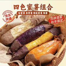 限移动端、京东百亿补贴：京鲜生 Mr.Seafood 山东四色蜜薯组合 净重5斤