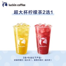 瑞幸咖啡 轻咖系列2选1 特大杯 15天有效 限自提 luckin coffee