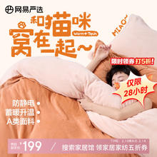 网易严选 适用2.2x2.4m被芯