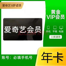 爱奇艺 黄金会员年卡 12个月