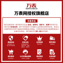 东方星（ORIENT STAR）万表日韩表手表自动机械男手表东方表大师系列双狮表商务礼物 哥特金典 RE-AW0003S00B