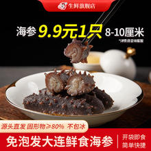 灯火岛 大连即食海参 1只30-35克 （拍10件）