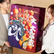 良品铺子 情人节巨型零食大礼包 大大大富贵 2524g