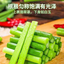 京喜加 新鲜蒜苔 新鲜蒜苔 1斤