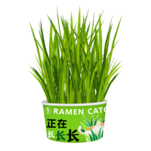 需首购：宠非凡懒人泡面猫草种子盆栽2碗