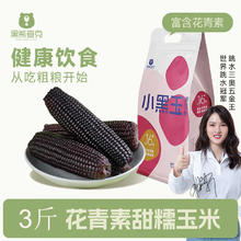 黑熊查克 &京鲜生 甜糯黑玉米 净重3斤/单根150-180g