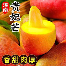 甜果源源 海南贵妃芒果 5斤 100-150g