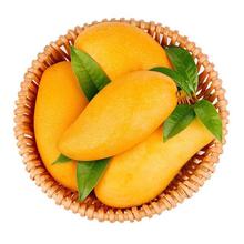 玖原农珍 海南青皮金煌芒现摘优选大芒果5斤 大果券后12.68元